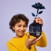 Obrázek Wednesday Černá jiřina