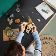 Obrázek Dinosauří fosilie: Lebka triceratopse