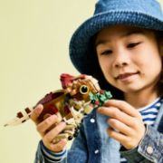 Obrázek Dinosauří mládě Dolores: Aquilops