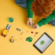 Obrázek Sonic a souboj u táboráku