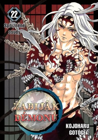 Obrázek Zabiják démonů 22: Spřízněné osudy