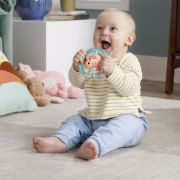 Obrázek Fisher Price chrastítka/kousátka asst