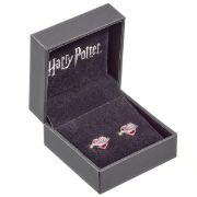 Obrázek Stříbrné náušnice Harry Potter - Nápoj lásky