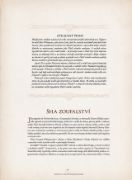 Obrázek World of Warcraft: Kronika 4