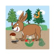 Obrázek Puzzle Zvířátka: Kde žijí 3–5 dílků baby