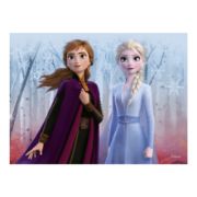 Obrázek Dřevěné kostky Frozen II – 12 kostek