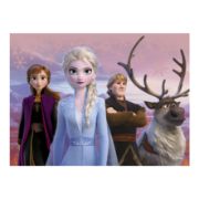 Obrázek Dřevěné kostky Frozen II – 12 kostek
