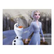 Obrázek Dřevěné kostky Frozen II – 12 kostek