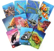 Obrázek Pod hladinou: Velký bariérový útes