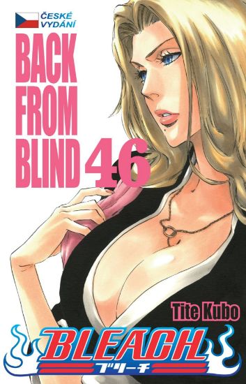 Obrázek Bleach 46: Back From Blind