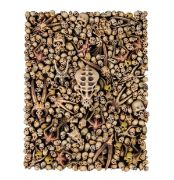 Obrázek CITADEL SKULLS