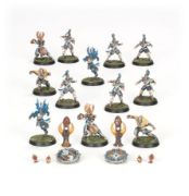 Obrázek BLOOD BOWL: HIGH ELF BLOOD BOWL TEAM