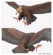 Obrázek M-E SBG: GREAT EAGLES