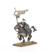 Obrázek WARRIORS O/CHAOS:CHAOS MARAUDER HORSEMEN