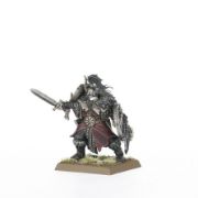 Obrázek WARRIORS OF CHAOS: CHAOS MARAUDERS