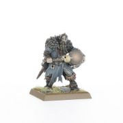 Obrázek WARRIORS OF CHAOS: CHAOS MARAUDERS