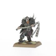 Obrázek WARRIORS OF CHAOS: CHAOS MARAUDERS