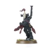 Obrázek AELDARI: DARK REAPERS