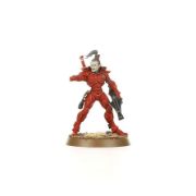 Obrázek AELDARI: GUARDIANS