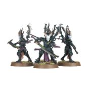 Obrázek DRUKHARI INCUBI