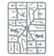 Obrázek DRUKHARI INCUBI