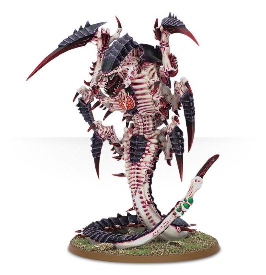 Obrázek Trygon