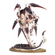 Obrázek Trygon