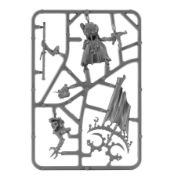 Obrázek Acolyte Iconward