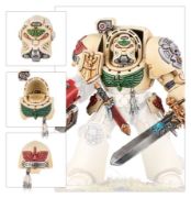 Obrázek DARK ANGELS: UPGRADES AND TRANSFERS