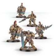 Obrázek ADEPTUS CUSTODES: SHIELD CAPTAIN