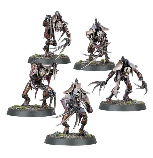 Obrázek NECRONS: FLAYED ONES