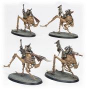 Obrázek ASH WASTE NOMADS DUSTBACK HELAMITES