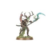 Obrázek Branchwych