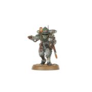 Obrázek HORUS HERESY: SOLAR AUXILIA COMBAT FORCE