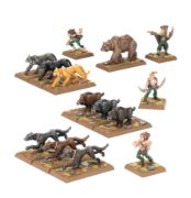 Obrázek Wood Elf Beast Pack