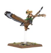 Obrázek Wood Elf Mage on Warhawk