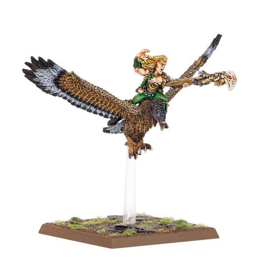 Obrázek Wood Elf Mage on Warhawk