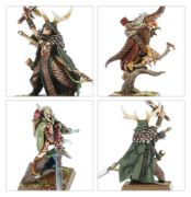 Obrázek Wood Elf Nobles