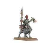 Obrázek Goblin Wolf Rider Bosses
