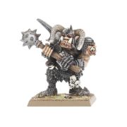 Obrázek Chaos Ogre Command