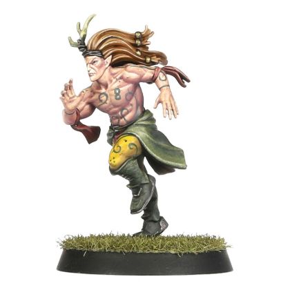 Obrázek pro kategorii Wood Elf