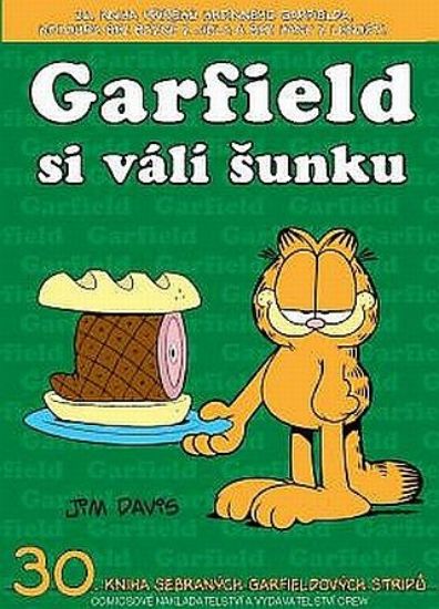 Garfield -30- si válí šunku