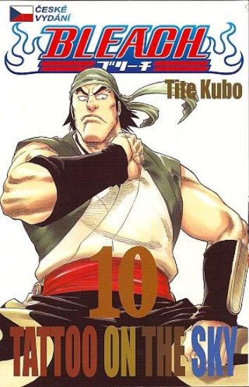 Bleach 10 - Tatoo on the sky