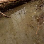Obrázek AK Interactive: Water Gel - Swamp Green