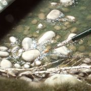 Obrázek AK Interactive: Water Gel Effects