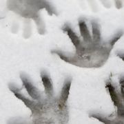 Obrázek AK Interactive: Ice Sparkles