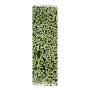 Obrázek Dekorace AK Interactive - Realistic Dark Green Moss