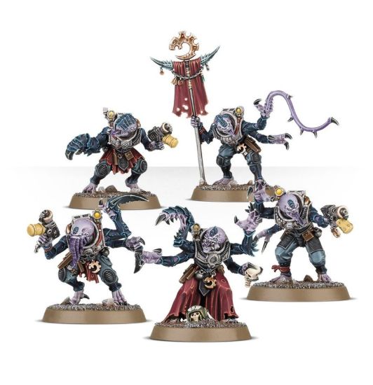 Acolyte Hybrids