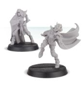 Dark Elf Assassins