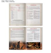 Middle-earth™ Strategy Battle Game: Matched Play Guide